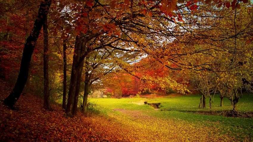 Максималните температури днес ще бъдат малко по високи между 22°
