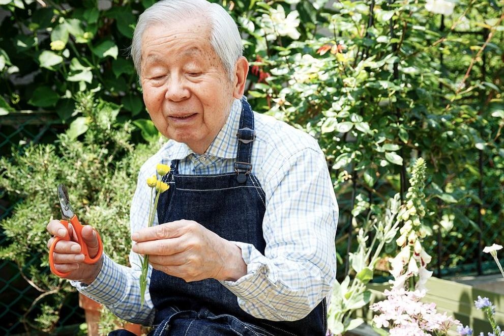 Броят на хората в Япония на възраст над 100 години