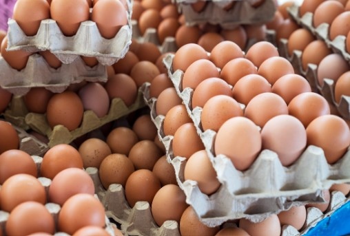 България иска да спре вноса на За това настоява служебният