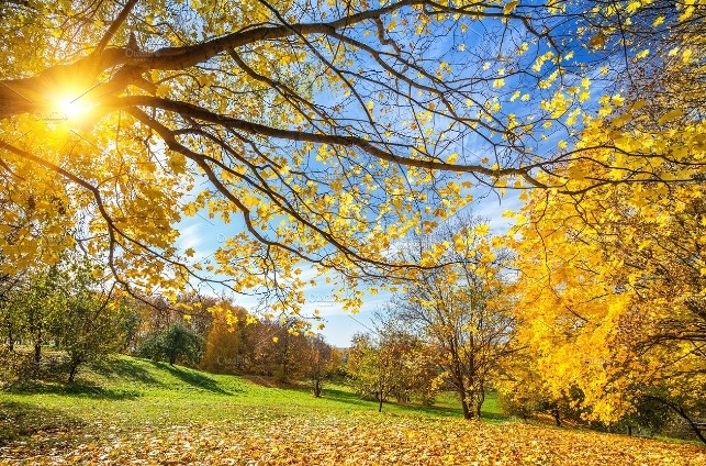 Днес ще бъде слънчево с разкъсана висока по късно през деня