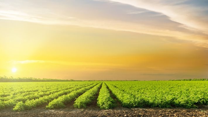 Управителният съвет на Държавен фонд Земеделие УС на ДФЗ утвърди