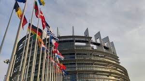 Най многобройната група избиратели при гласуването за Европейски парламент през лятото