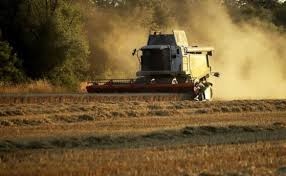 Недоволство на земеделците и зърнопроизводителите и в Кюстендилско Причината по