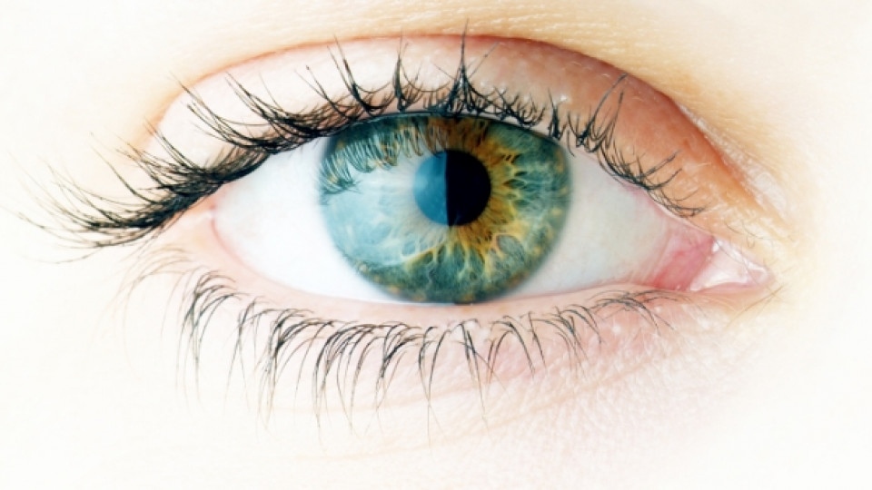 Сухотата в очите в резултат на работа с компютър може