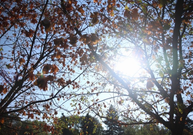Днес ще преобладава слънчево време От запад на изток ще
