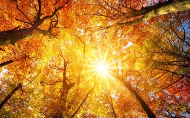 Днес в по голямата част от страната ще бъде предимно слънчево