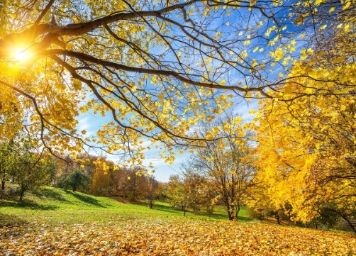 Днес отново ще бъде слънчево В сутрешните часове главно в