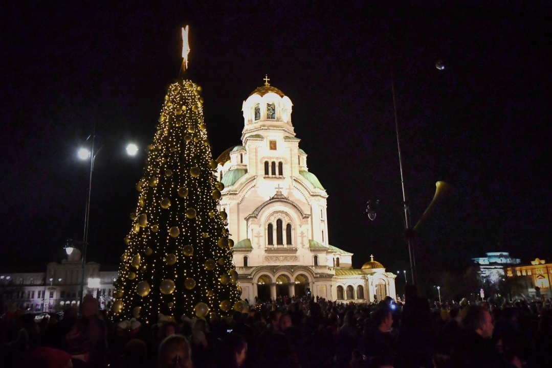 Коледната елха не е опасна Нямаме опасения за стабилността на