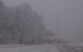 Проходът Петрохан е затворен изцяло за движение Причината са паднали дървета