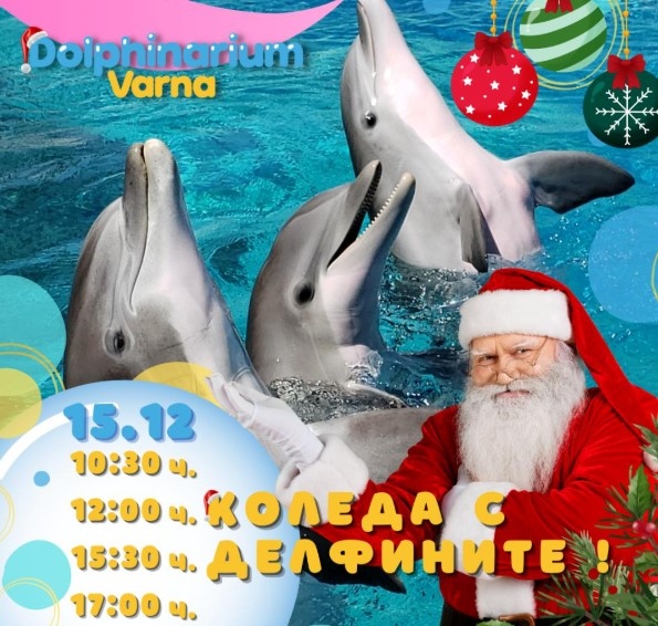 Делфинариум Варна подарява безплатен билет на децата до 12 години