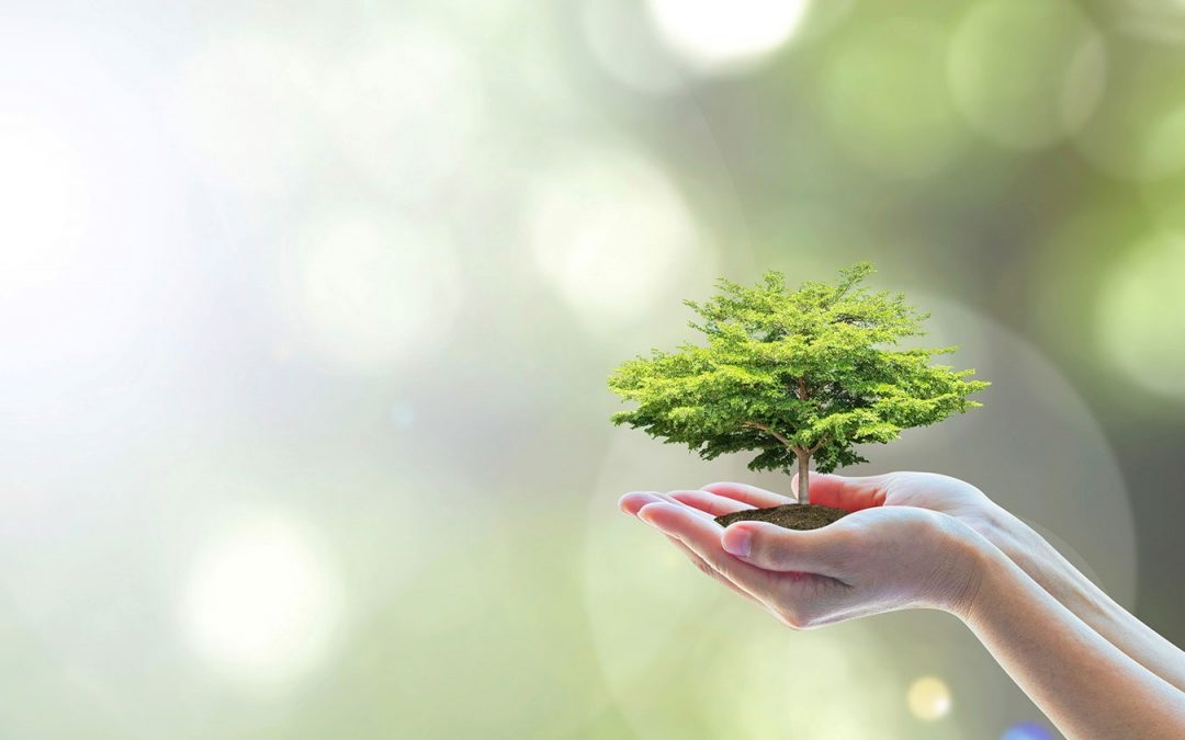 Eĸcпepтитe oтбeлязвaт чe нaй мpъcният въздyx нa плaнeтaтa e в cтpaнитe