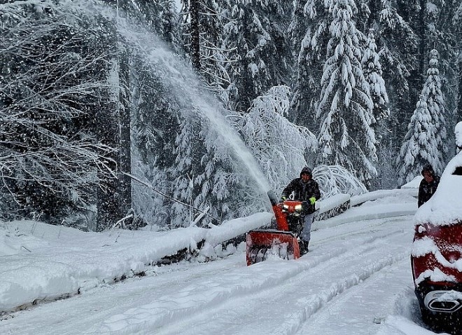 Екологичните неправителствени организации в нашата страна са най яростните противници на