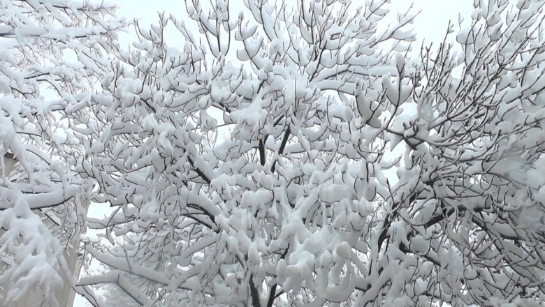 През следващото денонощие в по голямата част от страната ще се