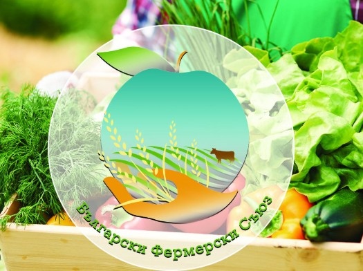 Ситуацията в страната илюстрира належащата необходимост държавата да създаде условия