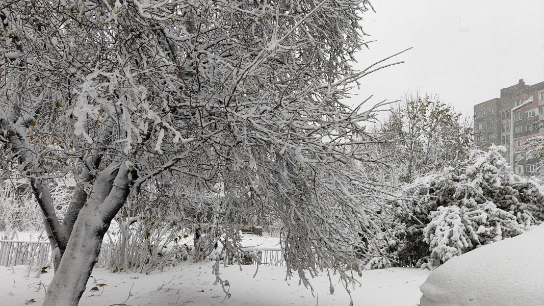 Минималните температури ще са между минус 15 и минус 10°