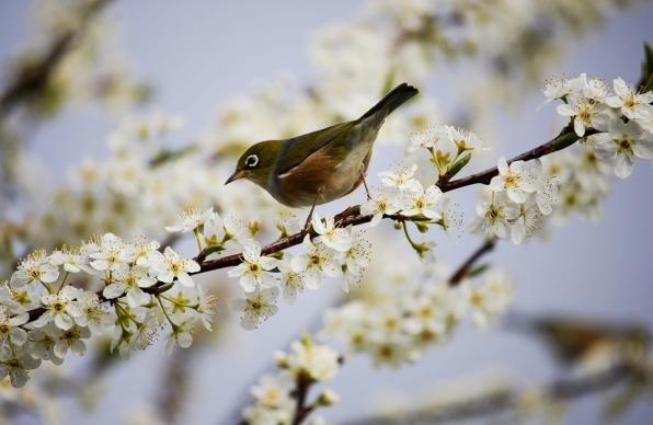 Месец март явно е решил да ни побърка Хем ни