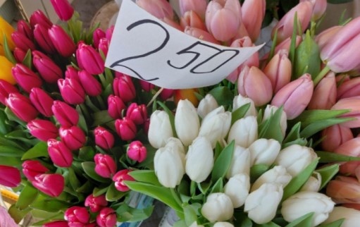 Поскъпнаха ли цветята в навечерието на женския празник 8 март