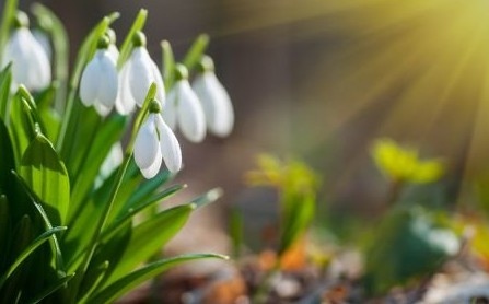 Днес ще бъде слънчево с разкъсана висока облачност Ще духа