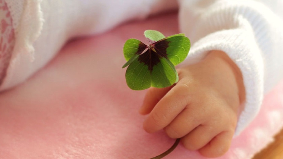 До 9 април Министерски съвет разглежда изменение и допълнение на