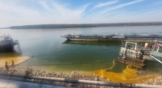 Експертите на РИОСВ Русе се самосезираха след публикуван клип