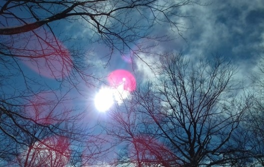 Летни температури отчетоха метеоролозите в голяма част от страната днес С