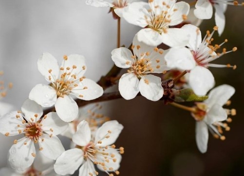Днес през страната ще премине студен атмосферен фронт Облачността ще