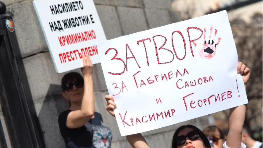 Осем години затвор очаква арестуваните за мъчения и убийства на