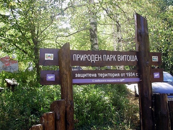 Дирекцията на природен парк Витоша упорито отказва да изпълни Закона