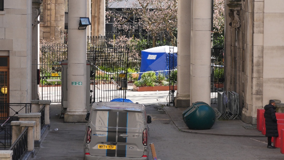 В британската столица Лондон микробус се е врязал в пешеходци