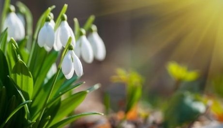 Днес ще е предимно слънчево По значителни временни увеличения на облачността