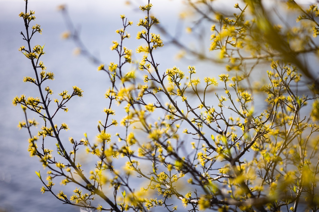 В сутрешните часове на отделни места по поречията и около