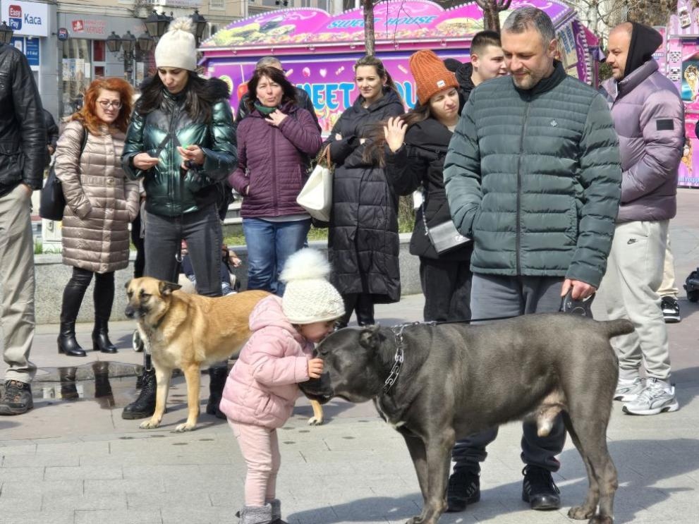 Нов протест в защита на животните ще се проведе в