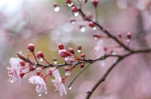 Днес ще преобладава облачно време На много места ще има