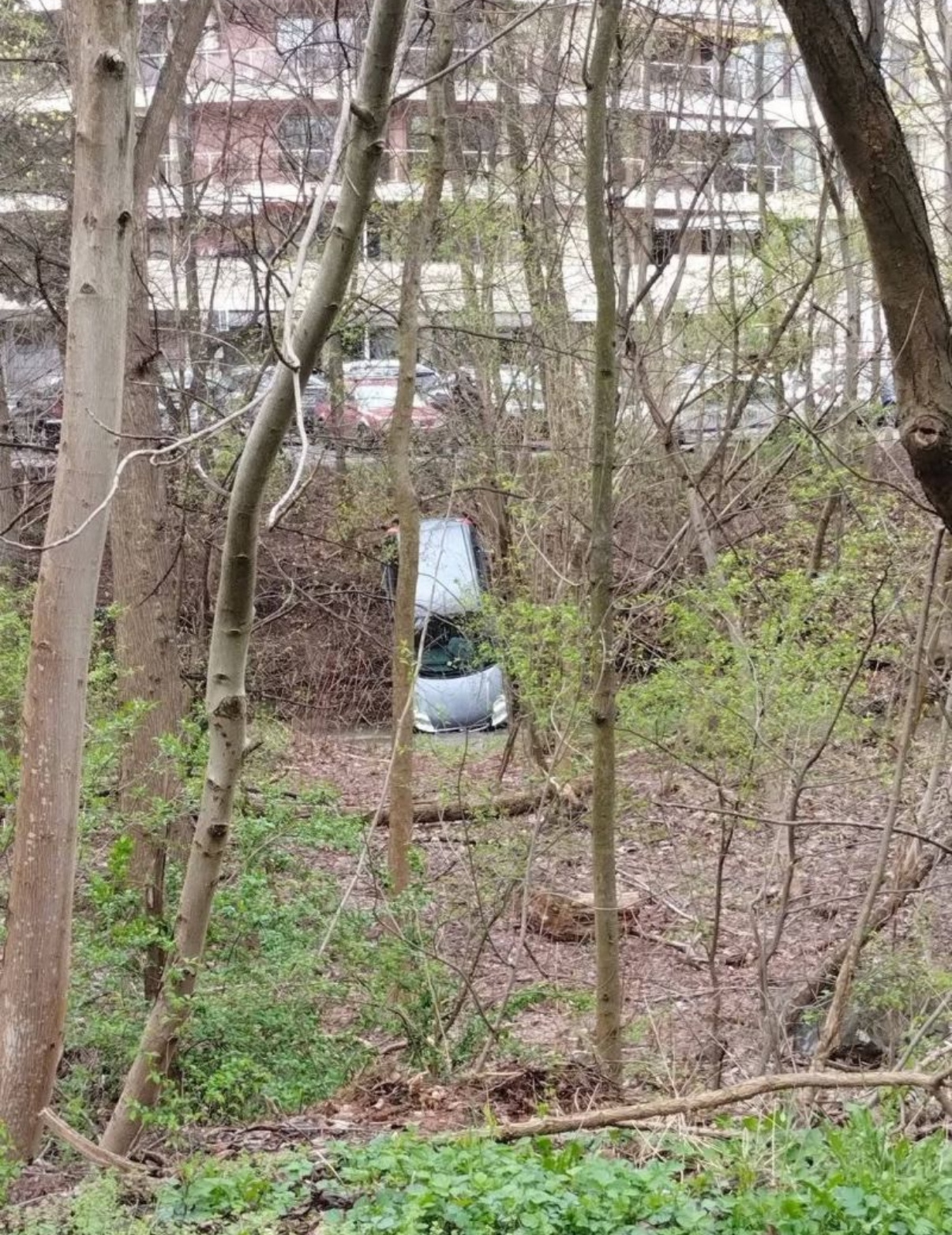 Автомобил падна в дере край Южния парк в София става