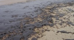 Във Варна е обявено частично бедствено положение заради замърсяването с мазут на