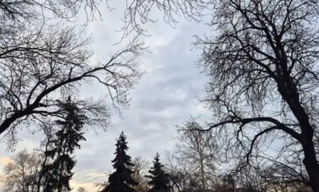 Днес над страната ще има значителна облачност Главно след обяд
