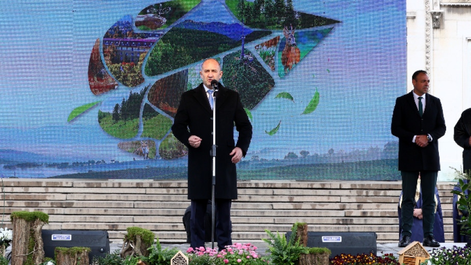 Войната по пътищата е породена от безхаберие и чувство за