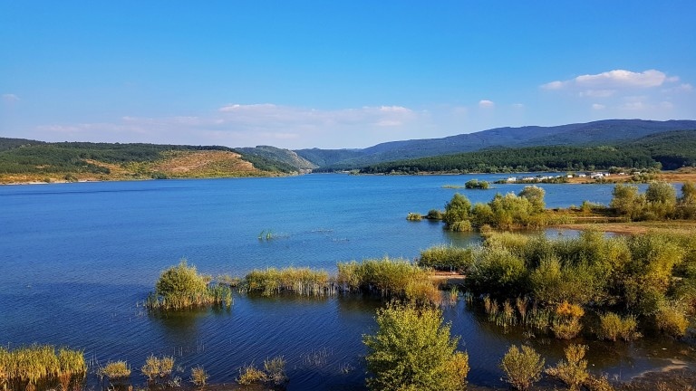 Земеделските производители в Кюстендилския край продължават да се сблъскват с