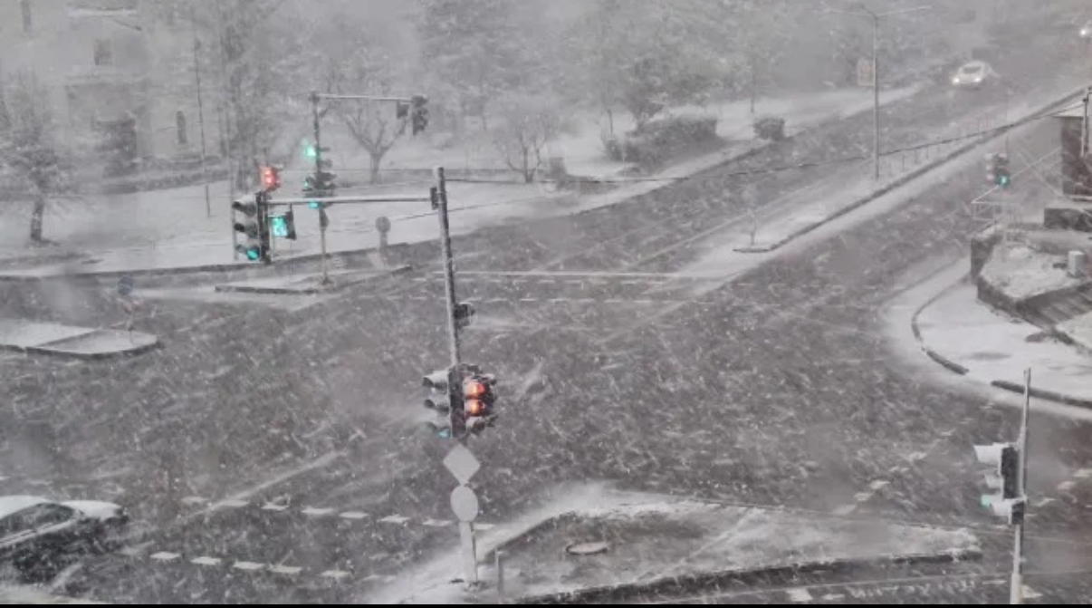 Снежна буря се разрази в Разград придружена с ураганен вятър