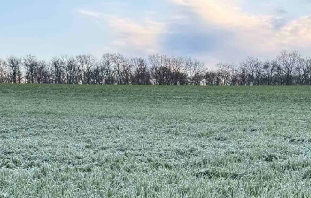 Българският фермерски съюз настоява за създаването на гаранционен фонд за