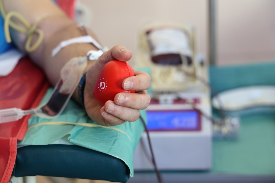 На днешния християнски празник Цветница в столичния храм Рождество Христово