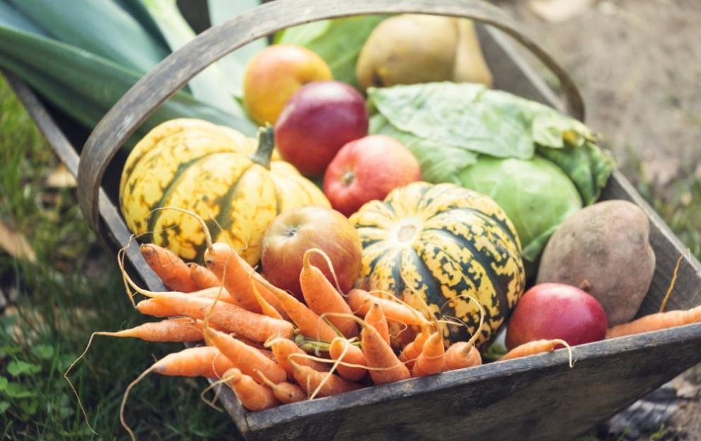 Неправилният начин на живот лошото хранене и болестотворната околната среда