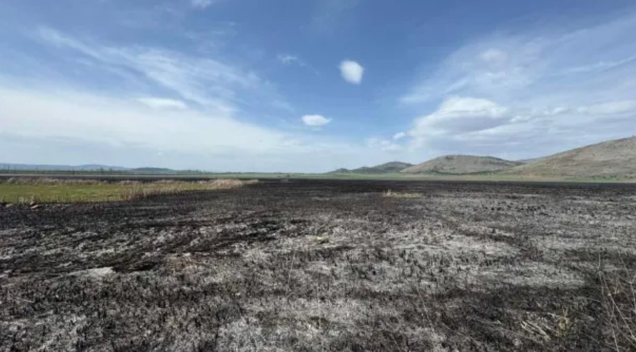 Регионална инспекция по околната среда и водите – София извърши