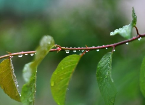 Днес облачността ще се задържи по често значителна след обяд купеста