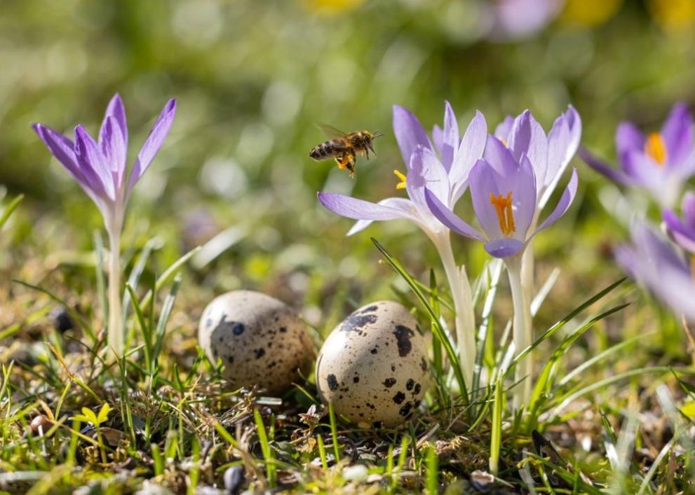 Днес времето над страната ще бъде предимно слънчево В сутрешните
