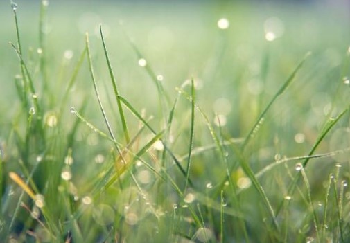 Днес ще преобладава слънчево време Около и след обяд ще