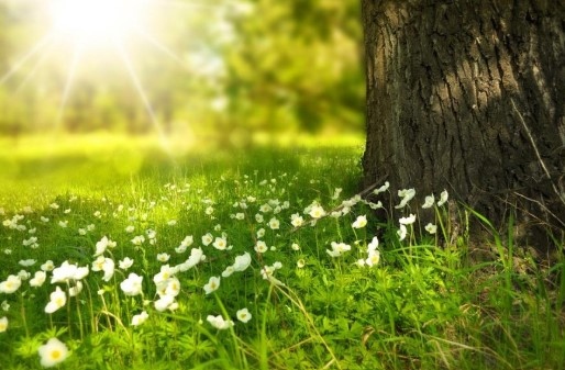 Днес преди обяд в по голямата част от страната ще бъде