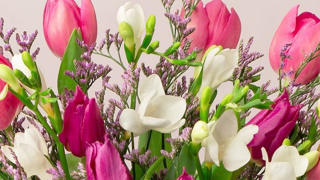 На 1 май имен ден празнуват всички които носят името