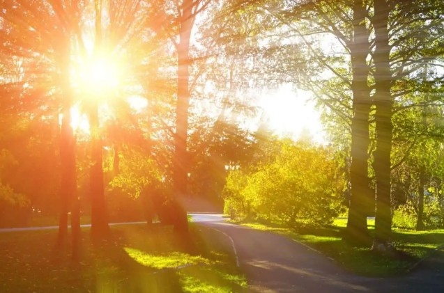 Днес преди обяд над по голямата част от страната ще преобладава