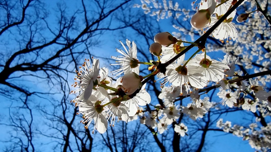 През нощта над западната половина от страната ще се развива